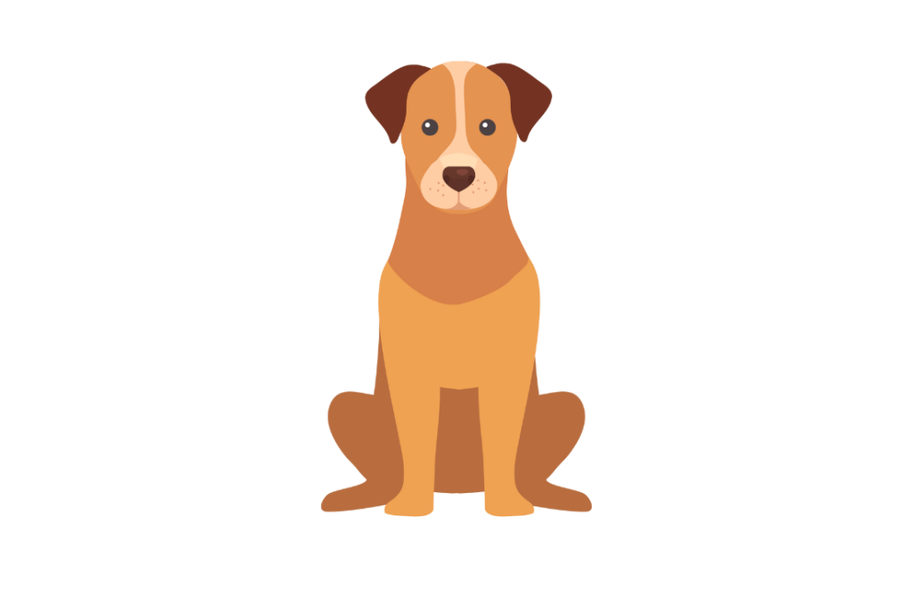 dog bike seat measure your dog