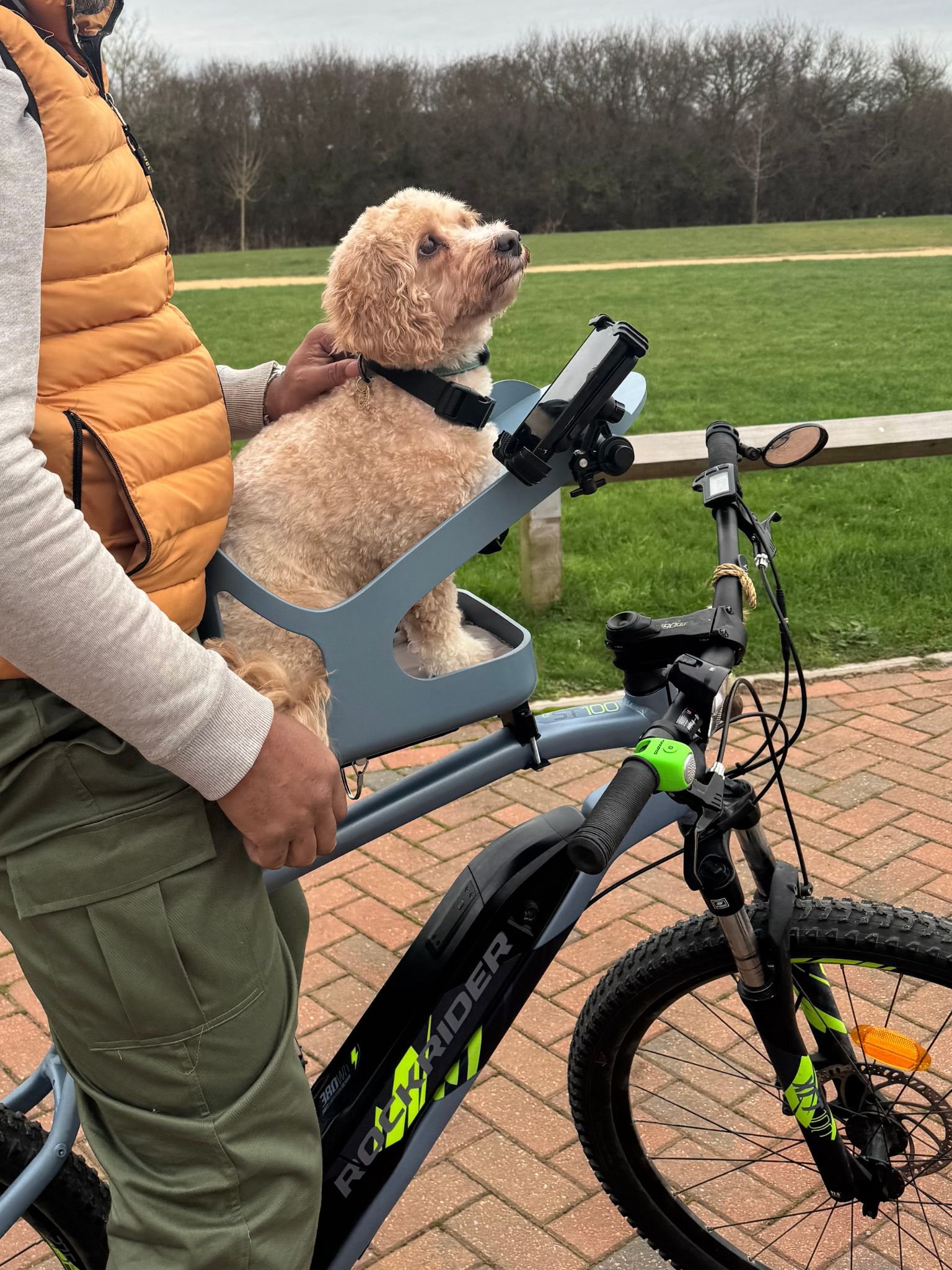 Dog bike seat with a dog inside
