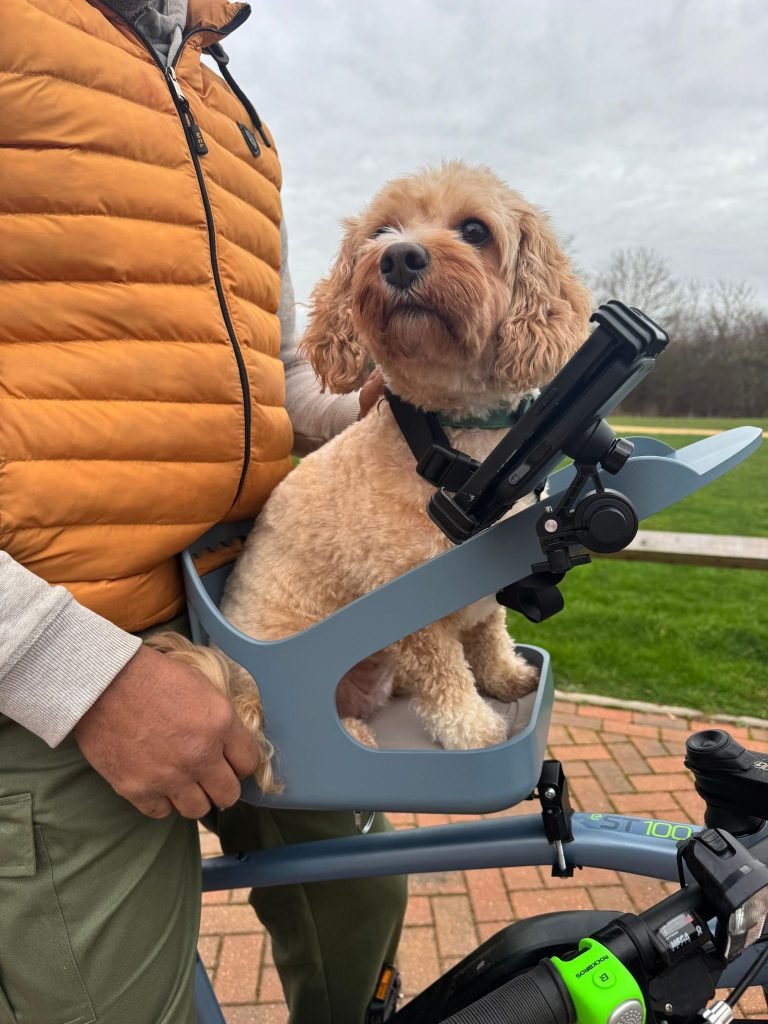 Dog Bike Seat with Fern the dog